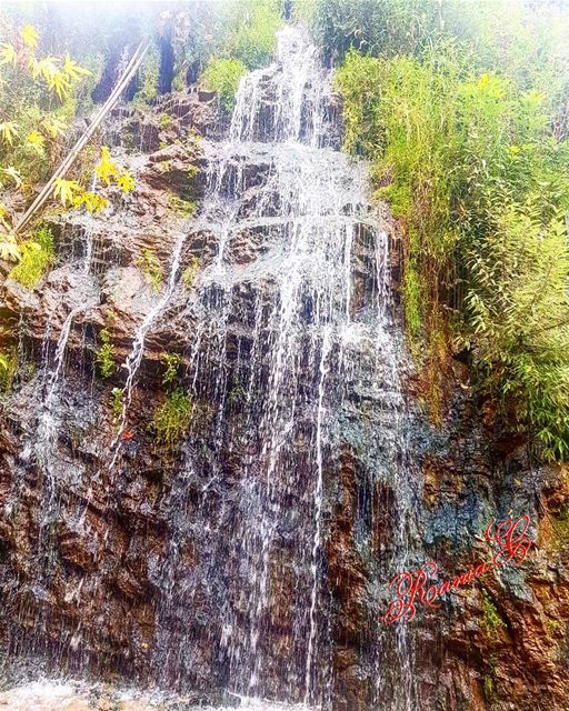  mylebanon  mycountrylebanon  livelovelebanon  waternature_brilliance ... (3youn el Samak)