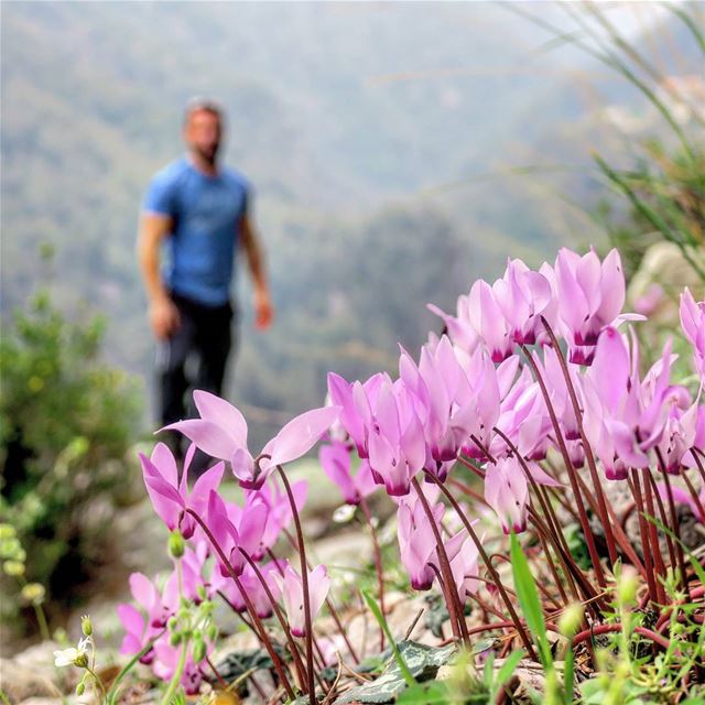 Myopic 👓 shortsight  faded  focus  flowers  spring  hike  valley ...