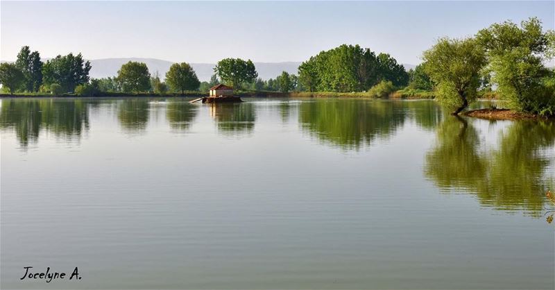 🌾 myphotography  taanayel  taanayellake  trees  lake  nature  like4like ... (Deïr Taanâyel, Béqaa, Lebanon)