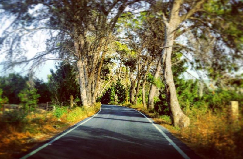 Mysterious  tiltshift  surreal  rural  lebanese  landscape  southern ... (Lebanon)