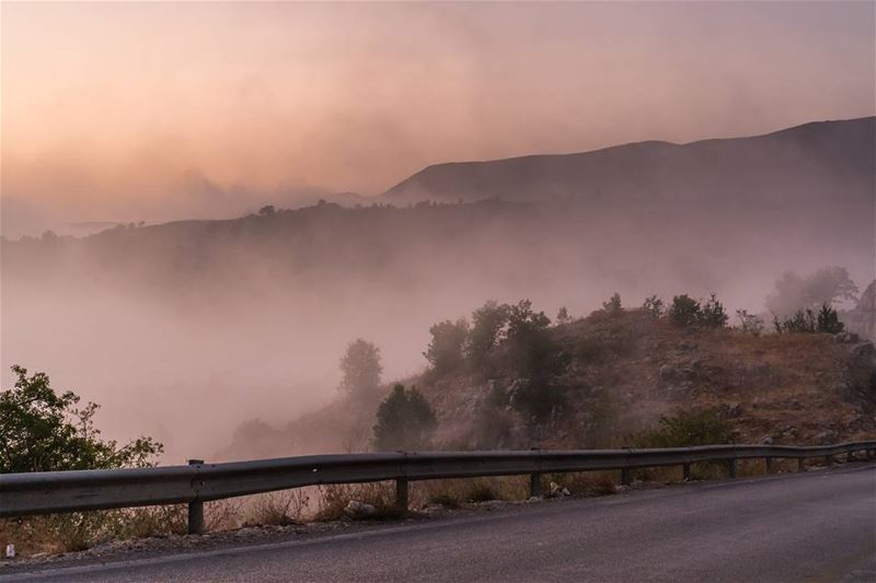 Mystical ride  lebanon  vsco ... (Majdel Tarchich)