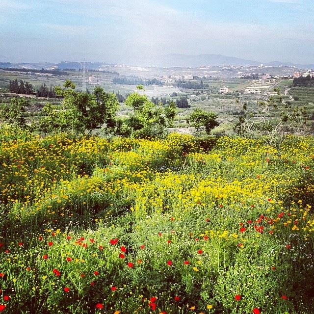  myvillage  village  nature  spring  southlebanon  lebanon  instagood ...