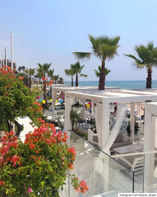 🇱🇧🇧🇷 Na dúvida de onde curtir o verão pelo mundo? A cidade de Byblos... (L Beach)