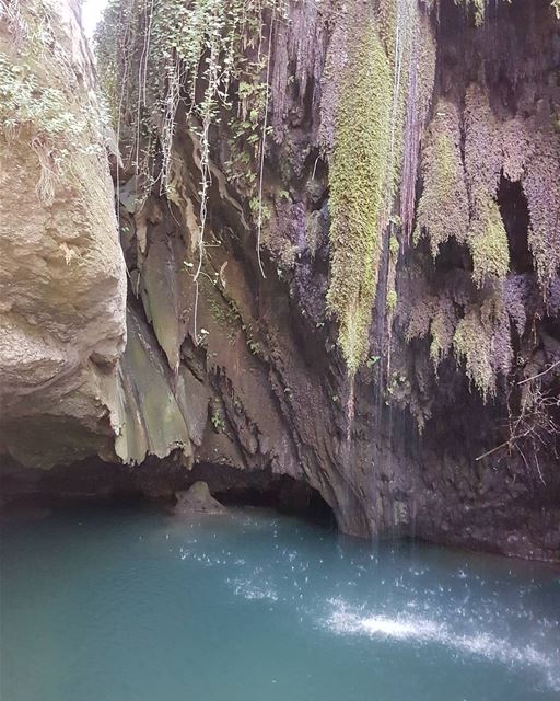  nabe3merched  livelovechouf  livelovelebanon  livelovebeirut ... (Nabe3 Merchid)