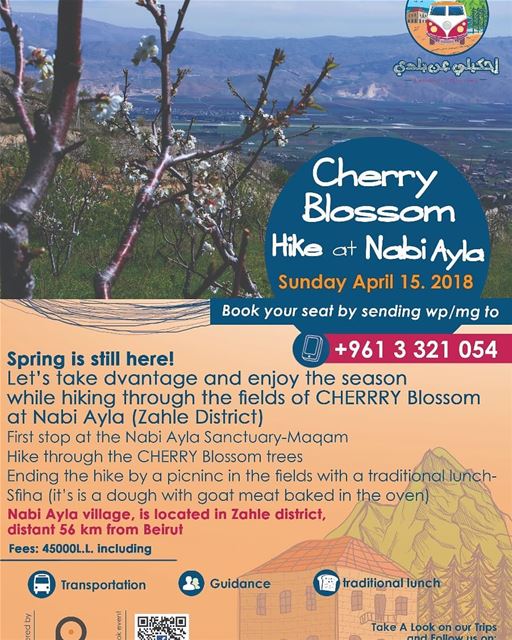  nabiayla  cherry  cherryblossom  spring  blossom  HkiliAanBaladi ...