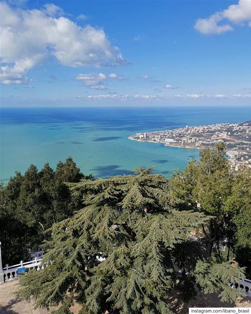 🇱🇧🇧🇷 Nada melhor do que iniciar o dia com uma vista dessa. Bom dia, Líb (Harîssa, Mont-Liban, Lebanon)