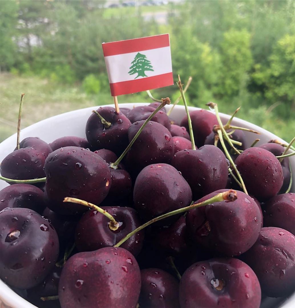 Nada melhor que cerejas libanesas colhidas na hora para começar o dia 🇱🇧�