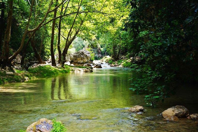 Naher Ibrahim, chouen Lake  naheribrahim  chouen  lake  mountlebanon ...