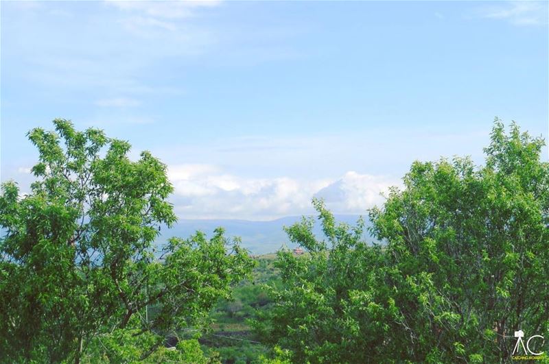  nahriyi  akkar  north  lebanon  trees  sky  clouds  green  blue ... (An Nahriyah, Liban-Nord, Lebanon)