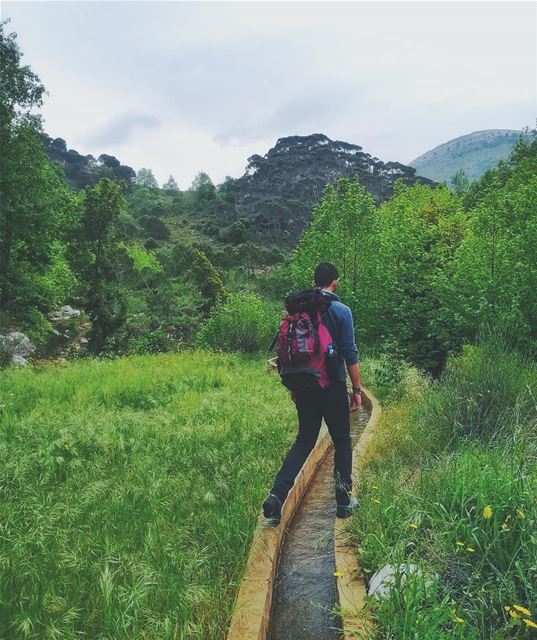 Natural Abduction 🏞️________________________________________________... (Mount Lebanon Governorate)