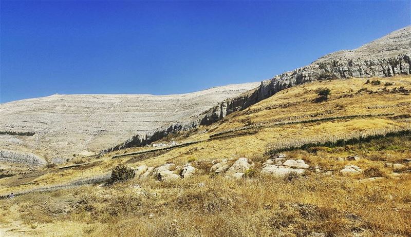 Natural curves, Majestic beauty.- Slopes of... (Sannin, Mont-Liban, Lebanon)