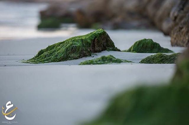 Natural miniature mountains   photography  canon70200  followforfollow ... (Tyre, Lebanon)