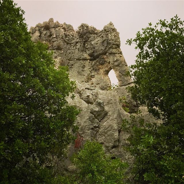 Natural sculpture!.......... livelovelife  livelovelife ...