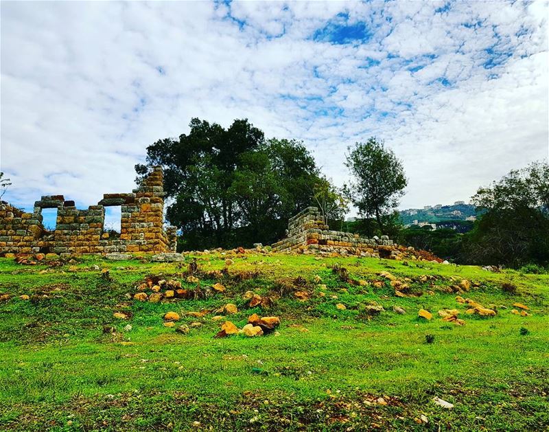 Nature always wears the colors of spirit nature   naturelovers... (`Arayya, Mont-Liban, Lebanon)