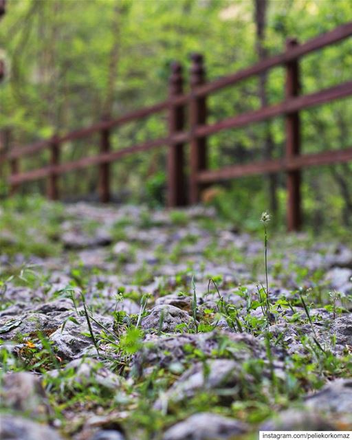 Nature always wears the colors of the... (Chouwen)