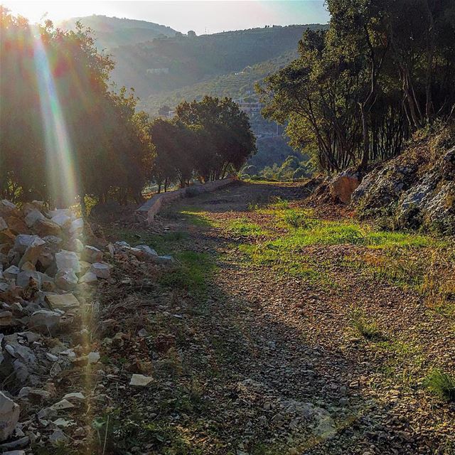 " Nature Always Wears The Colors Of The Spirit..." A Walk In The Nature... (Chabtîne, Liban-Nord, Lebanon)