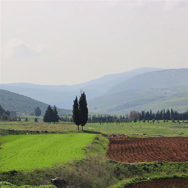 Nature always wears the colors of the spirit.... naturelovers... (سهل الميذنة- كفررمان)
