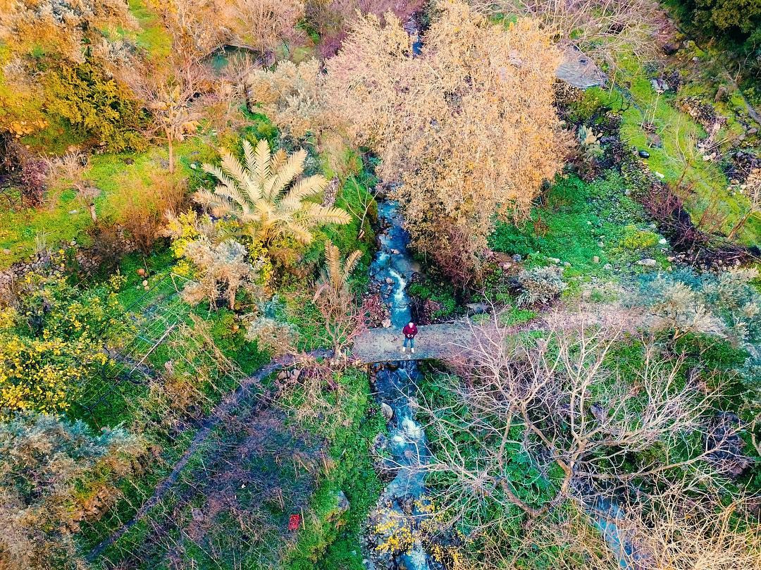 Nature always wears the colors of the spirit 🌳🌴🌾.... photography ... (Aley District)