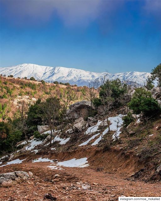 Nature always wears the colors of the spirit. "Ralph Waldo Emerson"ISO100, (Jabal Sâfi)