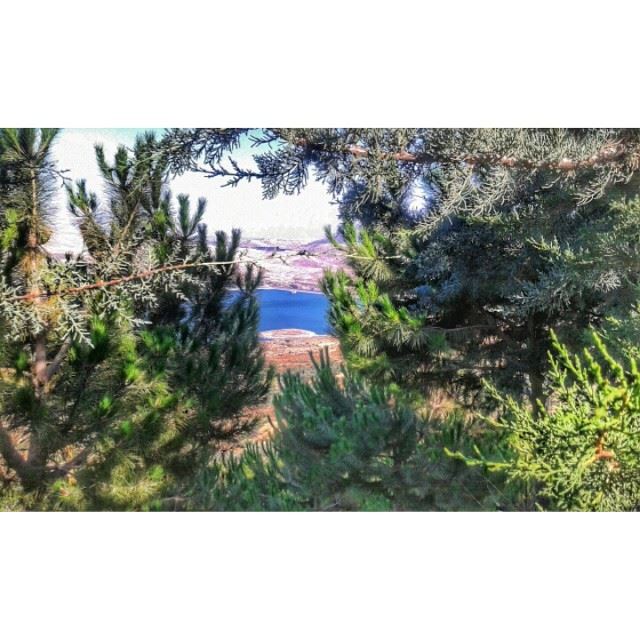  Nature and good friendship are the only  stress medication Lebanon ... (Karaoun Lake)