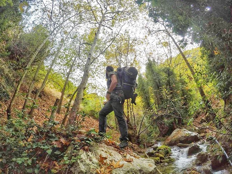 Nature baby🍃 (Tannurin At Tahta, Liban-Nord, Lebanon)