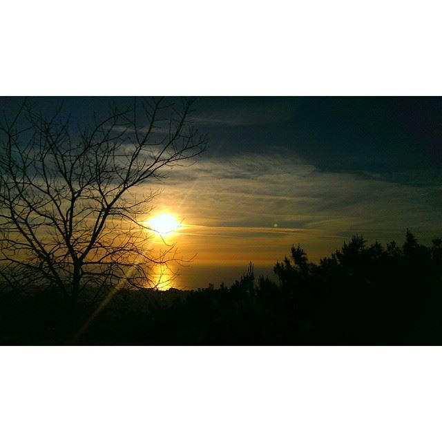  nature  beautiful  sunset  clouds  blue  sun  beauty  tree  summer  ...