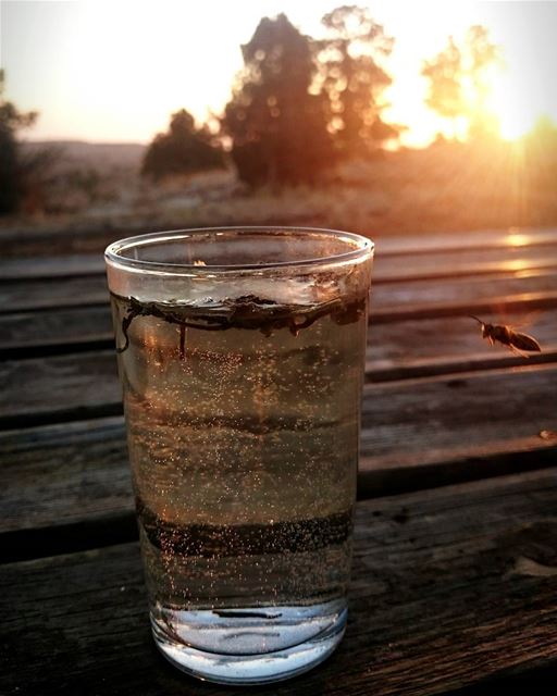  nature bee bestofleb photography livelovebekaa instaleb naturephotograph...