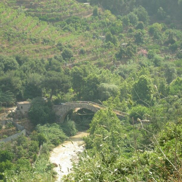 nature bridge