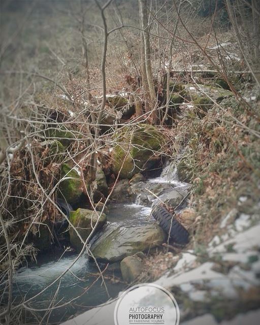 NATURE CAN DO MORE THAN PHYSICIAN ! nature  livelovebaskinta ... (Home Baskinta)