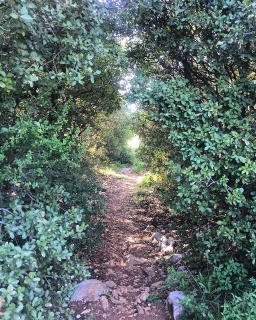 Nature: cheaper than therapy 🌿🌿 a7labaladbil3alam  photo  love ... (Mar Chaaya Broumana)