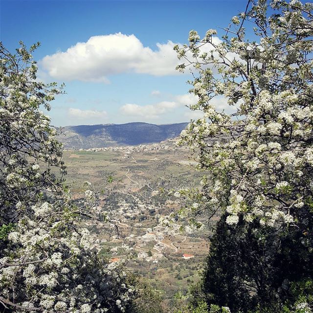  NATURE  chouf  lebanon  hiking  hikes  mountains ...