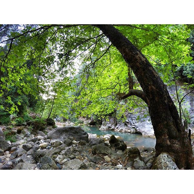 Nature.  (Chouwen)