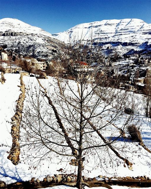  nature cold weather naked tree blue sky snowy mountains white village...