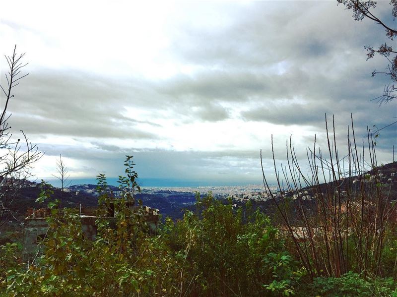  nature  cold  weather  winter  rain  raining  clouds  cloudy  grey  sky ...