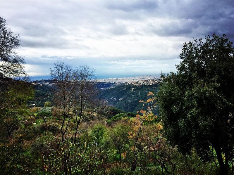  nature  cold  winter weather  cloudy  clouds  grey  sky  blue  sea  ocean... (Abadiyeh, Lebanon)