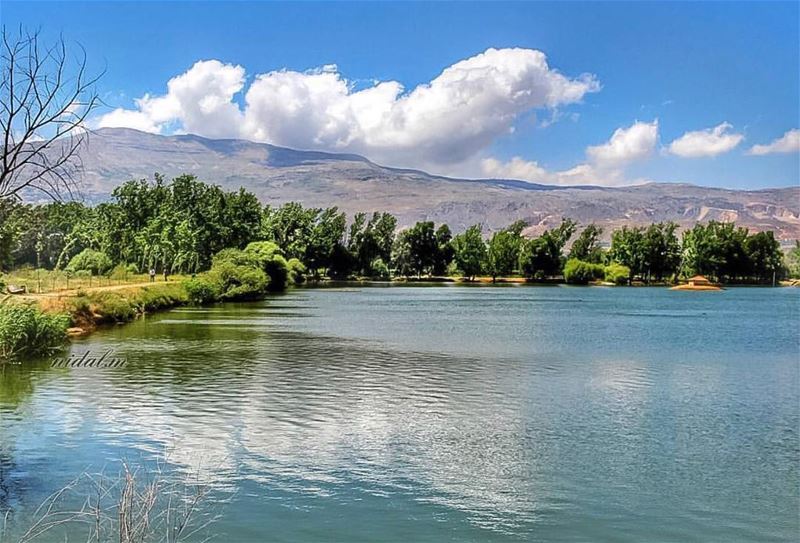 Nature does not ask ... it just gives🍀...📸: @nidal.majdalani ...... (Deïr Taanâyel, Béqaa, Lebanon)