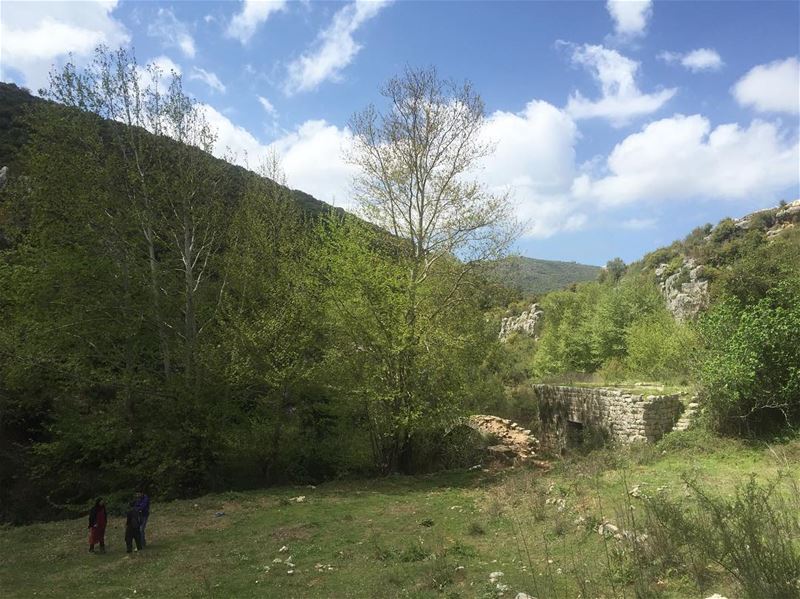 Nature does not hurry, yet everything is accomplished. It always wears the...