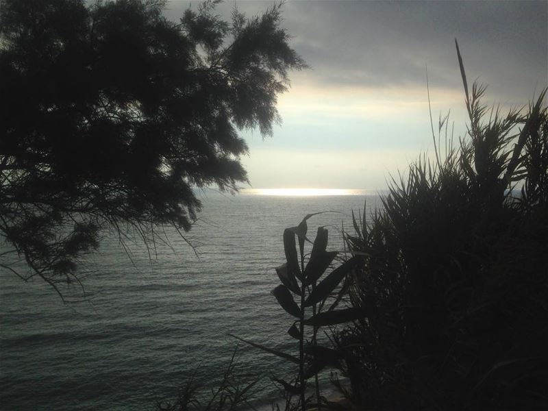 “Nature does not hurry, yet everything is accomplished.” Lao Tzu nature...