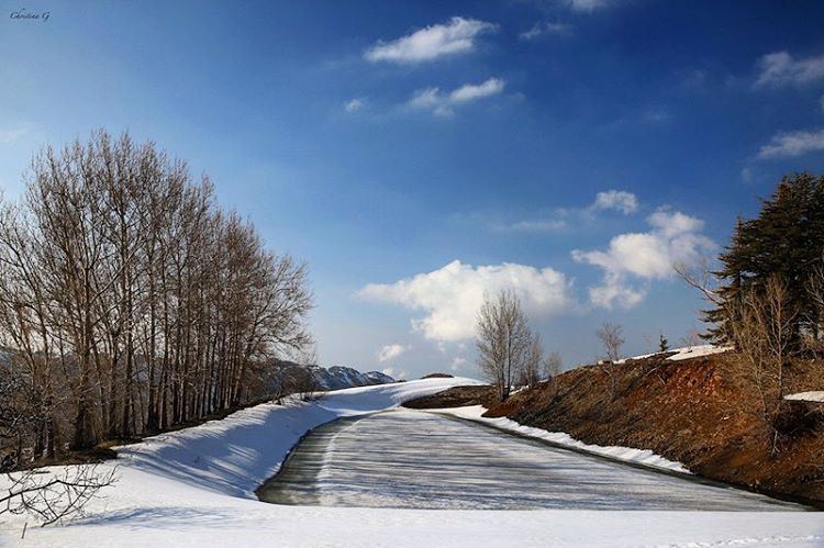 Nature does not hurry, yet everything is accomplished ☁️🌲❄️ ... (El Laqloûq, Mont-Liban, Lebanon)