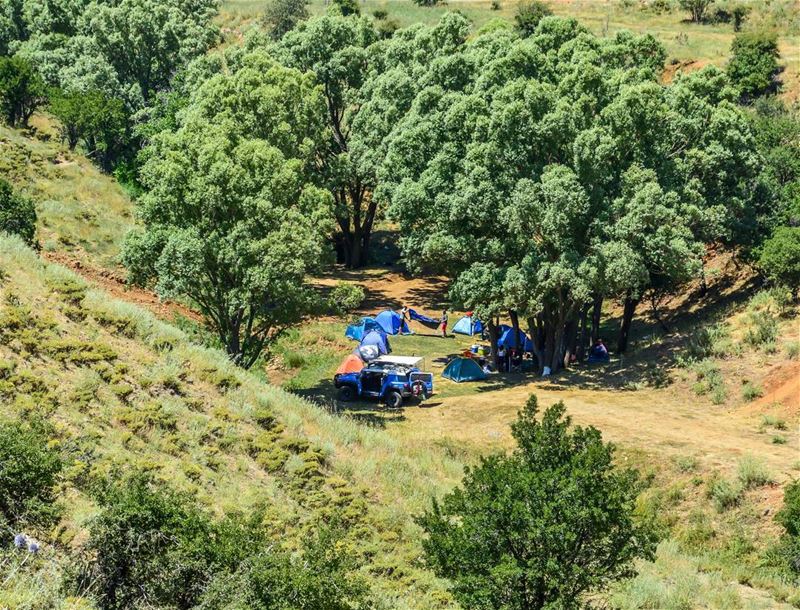 ⛺🏕🌳🌿..... nature escape camp camping outdoors forest trees tents... (El Laqloûq, Mont-Liban, Lebanon)