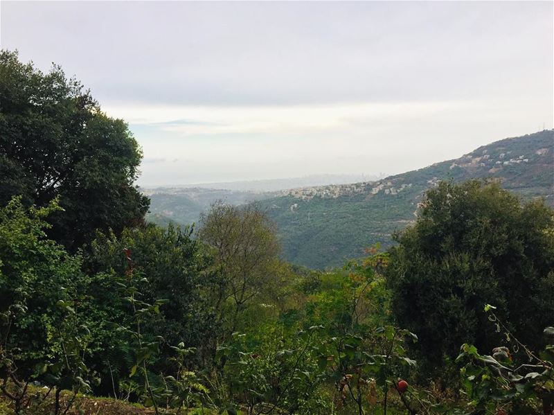  nature  fall  winter  season  rain  rainyday  cloudy  weather  cloudyday ... (Abadiyeh, Mont-Liban, Lebanon)