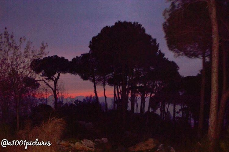  nature  forest  dark  nikon   photography  night  travel  discover ... (Dhoûr Ech Choueïr, Mont-Liban, Lebanon)
