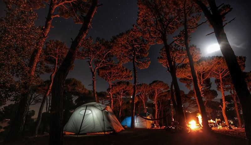  nature fromwhereistand photography livelovelebanon livelovebeirut...
