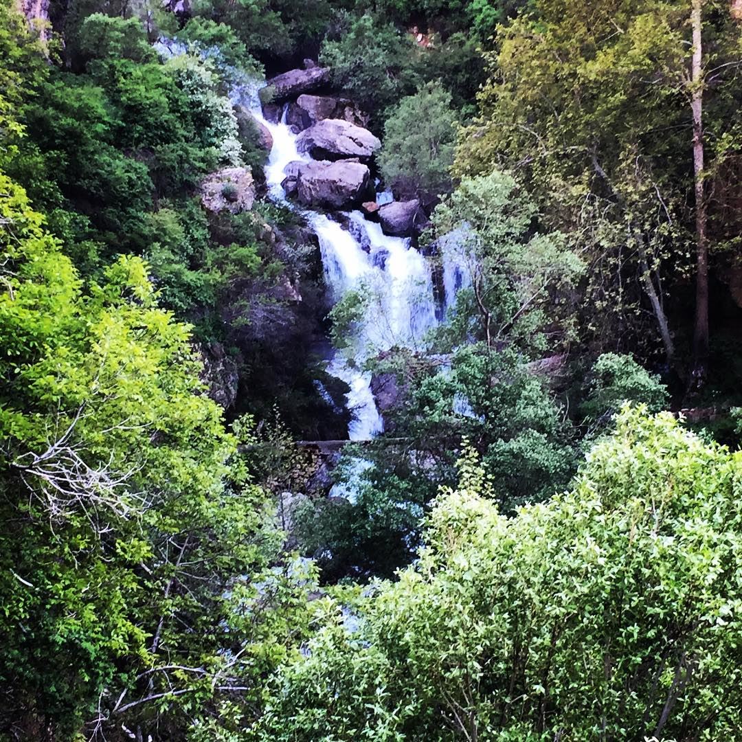  nature  God  creation  green  trees  waterfall  water  river  mountain ... (Faraya, Mont-Liban, Lebanon)