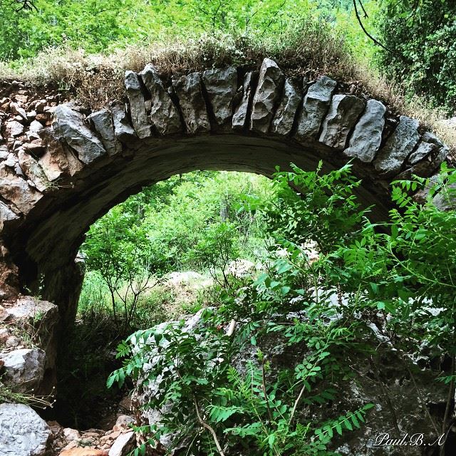  nature green old bridge Lebanon...
