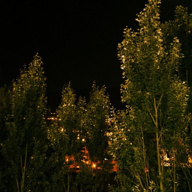  nature  green  trees  light  lights  village  mountain  Faraya  Lebanon ... (Faraya, Mont-Liban, Lebanon)