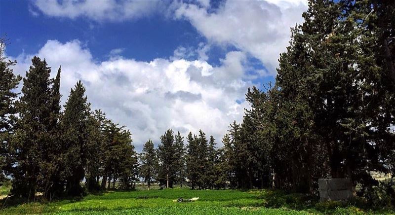  nature green trees sky clouds southlebanon lebanon insta_lebanon... (Khorbet L Dweir South Lebanon)