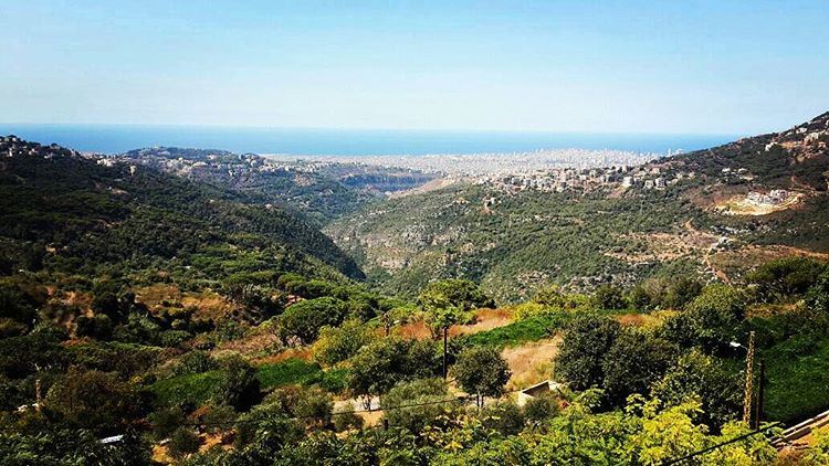  nature  green  trees  valley  mountain  river  blue  sky  sea  ocean ...