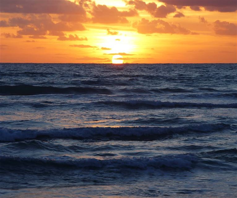 Nature have its art too!  sunset  tyrebeach  tyrecity  sunset_ig ... (Tyre, Lebanon)