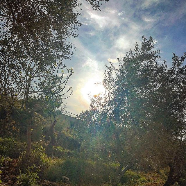 " Nature Holds The Key To Our Aesthetic, Intellectual, Cognitive And Even... (St. Rafkaa Jrabta)